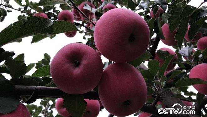 &ldquo;�ҹ���&rdquo;׃����ɽ ���h���p��ٍ�X 