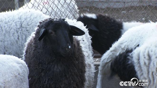 �¸���(j��ng)