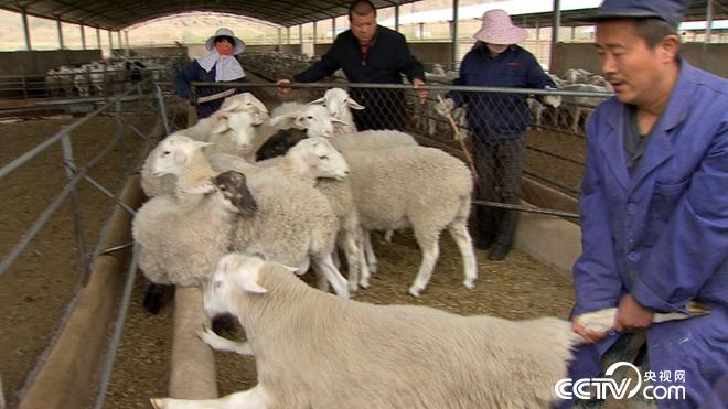 �¸���(j��ng)