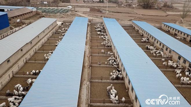 �¸���(j��ng)