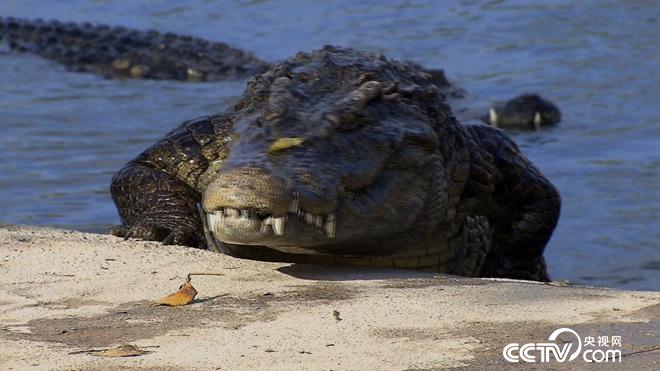 �¸���(j��ng)