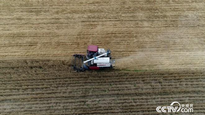 �¸���(j��ng)