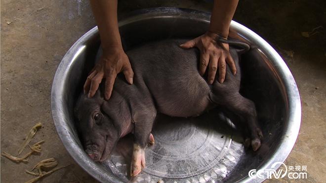 �¸���(j��ng)