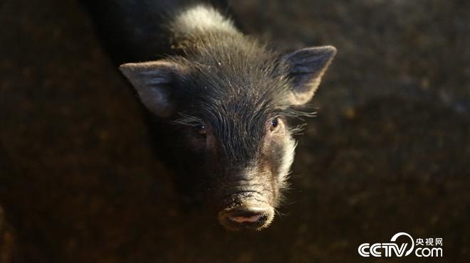 �¸���(j��ng)