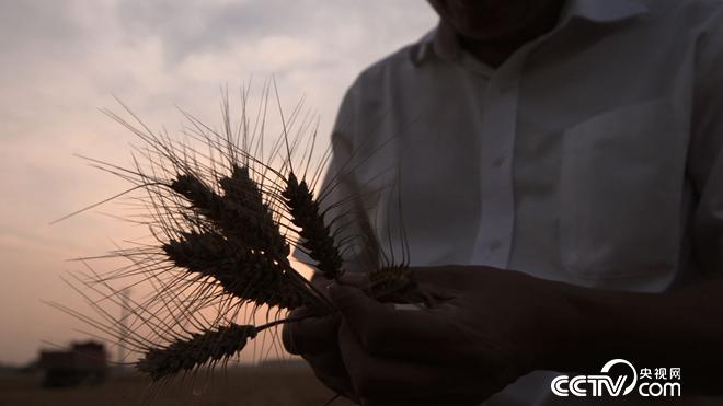 �¸���(j��ng)