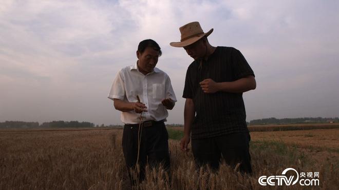 �¸���(j��ng)