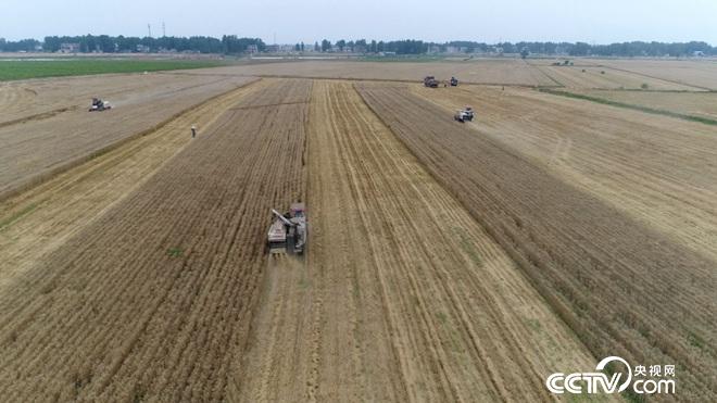 �¸���(j��ng)