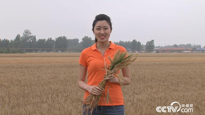 �¸���(j��ng)