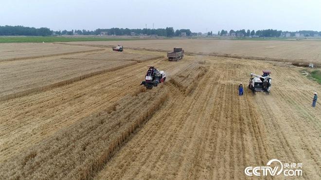 �¸���(j��ng)