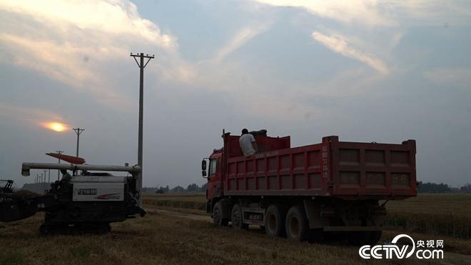 �¸���(j��ng)