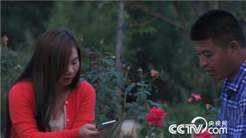 致富經(jīng):恩愛夫妻 單飛把錢賺(20171106)