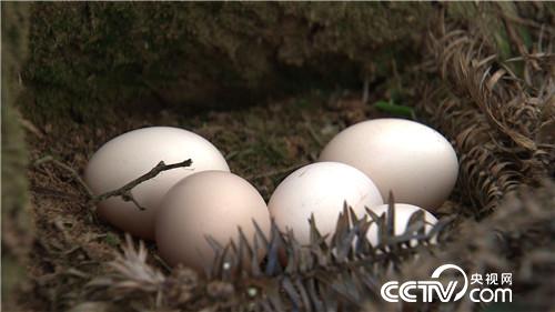 [�¸���(j��ng)]35�q ��Ҫ�������^���f 20180806 