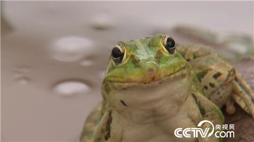 [�¸���(j��ng)]�Ǡ�(zh��ng)�h��90��С���B(y��ng)��ٍ�X(qi��n)����� 20180730 