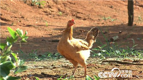 [�¸���(j��ng)]35�q ��Ҫ�������^���f 20180806 