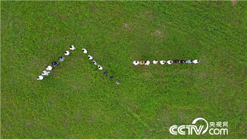 [�¸���(j��ng)]�����Ǻñ� ��(chu��ng)�I(y��)��ţ�� 20180801 