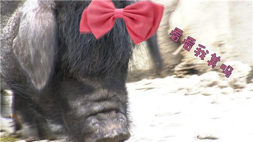 �¸���(j��ng)���_�ز����i һ�����uһ�ٶ�(20170815)