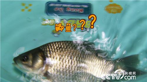 [�¸���(j��ng)]��ù����(qi��ng)�B(y��ng)���~ ���˰���ٍ���X 20180823 