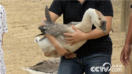 [¸(jng)]ϱDB(yng)Z “”(li)ǧf(wn)ؔ(ci) 20180807 