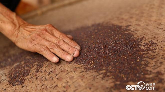 �¸���(j��ng)