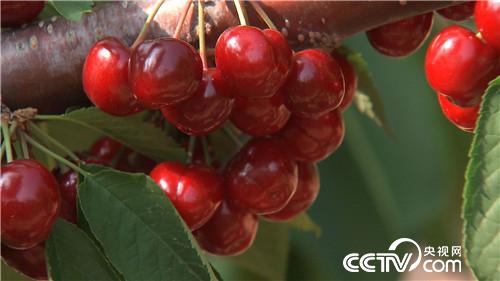 [�¸���(j��ng)]58�q���_ֻʣ200Ԫ֮�� 20180814 