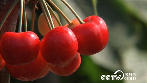 [�¸���(j��ng)]58�q���_ֻʣ200Ԫ֮�� 20180814 