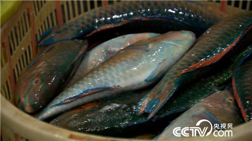 [�¸���(j��ng)]�O�������ι��� ��Խ����u700�f 20180822 