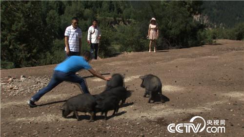 �¸���(j��ng)���_�ز����i һ�����uһ�ٶ�(20170815)