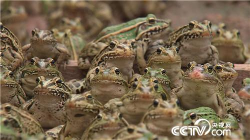 [�¸���(j��ng)]�Ǡ�(zh��ng)�h��90��С���B(y��ng)��ٍ�X(qi��n)����� 20180730 