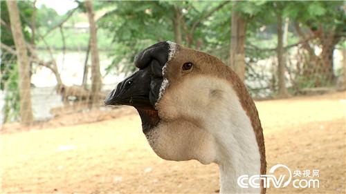 [¸(jng)]ϱDB(yng)Z “”(li)ǧf(wn)ؔ(ci) 20180807 