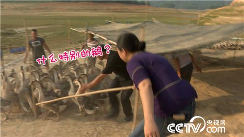 [¸(jng)]ϱDB(yng)Z “”(li)ǧf(wn)ؔ(ci) 20180807 