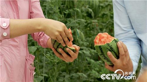 [¸(jng)]С“һָ” ٍװf 20180821 