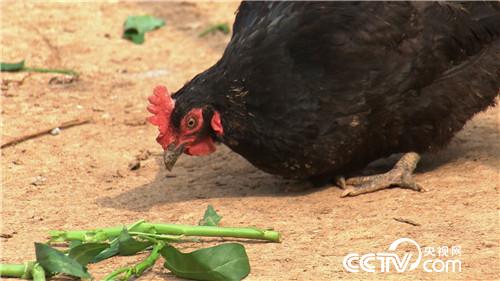 [�¸���(j��ng)]35�q ��Ҫ�������^���f 20180806 