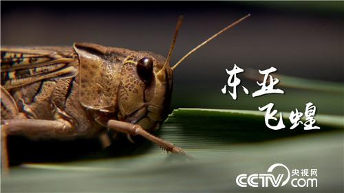 [¸(jng)]r ˮˮ¶ٍX(qin) 20180802 