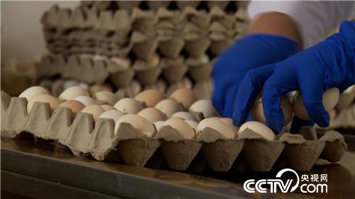 [�¸���(j��ng)]����ǧ�f������ �����uȺ�� 20180813 