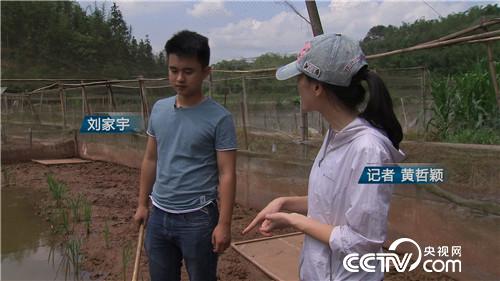 [�¸���(j��ng)]�Ǡ�(zh��ng)�h��90��С���B(y��ng)��ٍ�X(qi��n)����� 20180730 