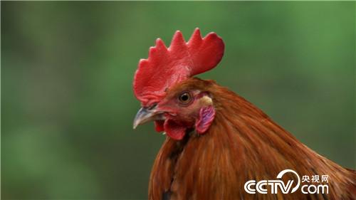 [�¸���(j��ng)]����ǧ�f������ �����uȺ�� 20180813 