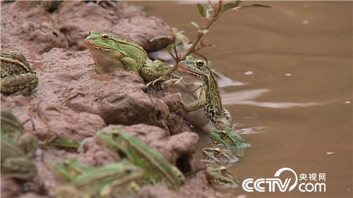 [�¸���(j��ng)]�Ǡ�(zh��ng)�h��90��С���B(y��ng)��ٍ�X(qi��n)����� 20180730 