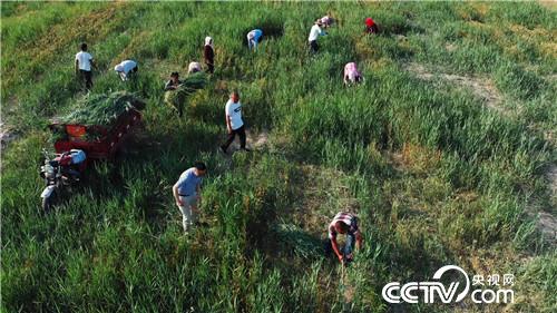 [¸(jng)]r ˮˮ¶ٍX(qin) 20180802 