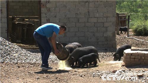 �¸���(j��ng)���_�ز����i һ�����uһ�ٶ�(20170815)