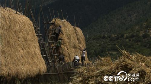 �¸���(j��ng)���_�ز����i һ�����uһ�ٶ�(20170815)