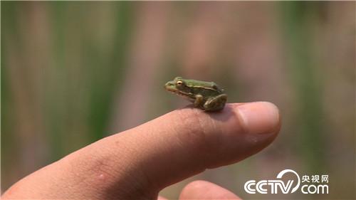 [�¸���(j��ng)]�Ǡ�(zh��ng)�h��90��С���B(y��ng)��ٍ�X(qi��n)����� 20180730 