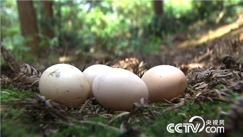 [�¸���(j��ng)]35�q ��Ҫ�������^���f 20180806 