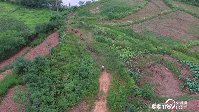 �¸���(j��ng)