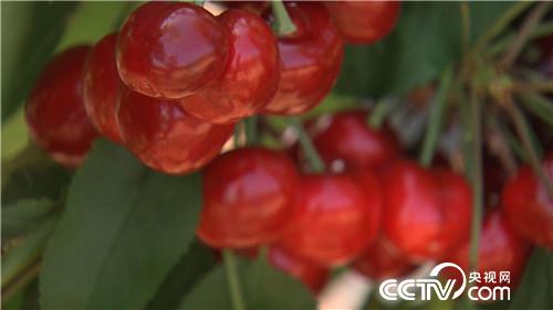 [�¸���(j��ng)]58�q���_ֻʣ200Ԫ֮�� 20180814 