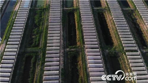 [¸(jng)]r ˮˮ¶ٍX(qin) 20180802 