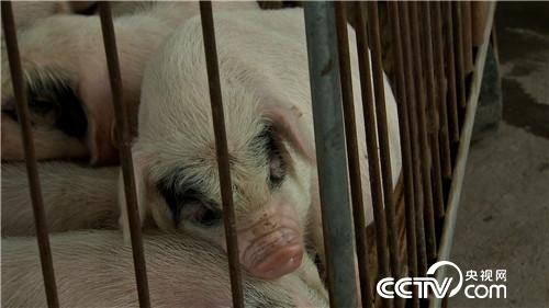 [�¸���(j��ng)]�x��Ů���B(y��ng)��؈�i ӭ�������ٍ�X 20180815 