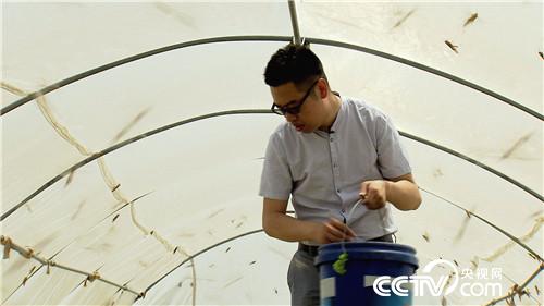 [¸(jng)]r ˮˮ¶ٍX(qin) 20180802 