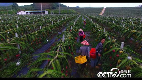 [¸(jng)](li)ؔ(ci) 94Сuσ|Ԫ20180816 