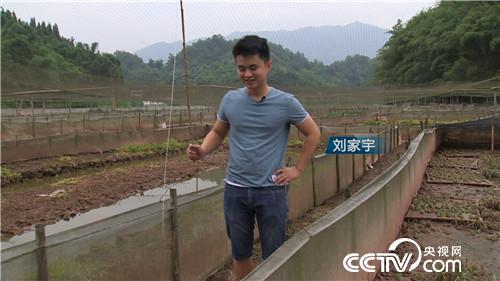 [�¸���(j��ng)]�Ǡ�(zh��ng)�h��90��С���B(y��ng)��ٍ�X(qi��n)����� 20180730 