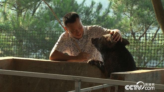 �¸���(j��ng)